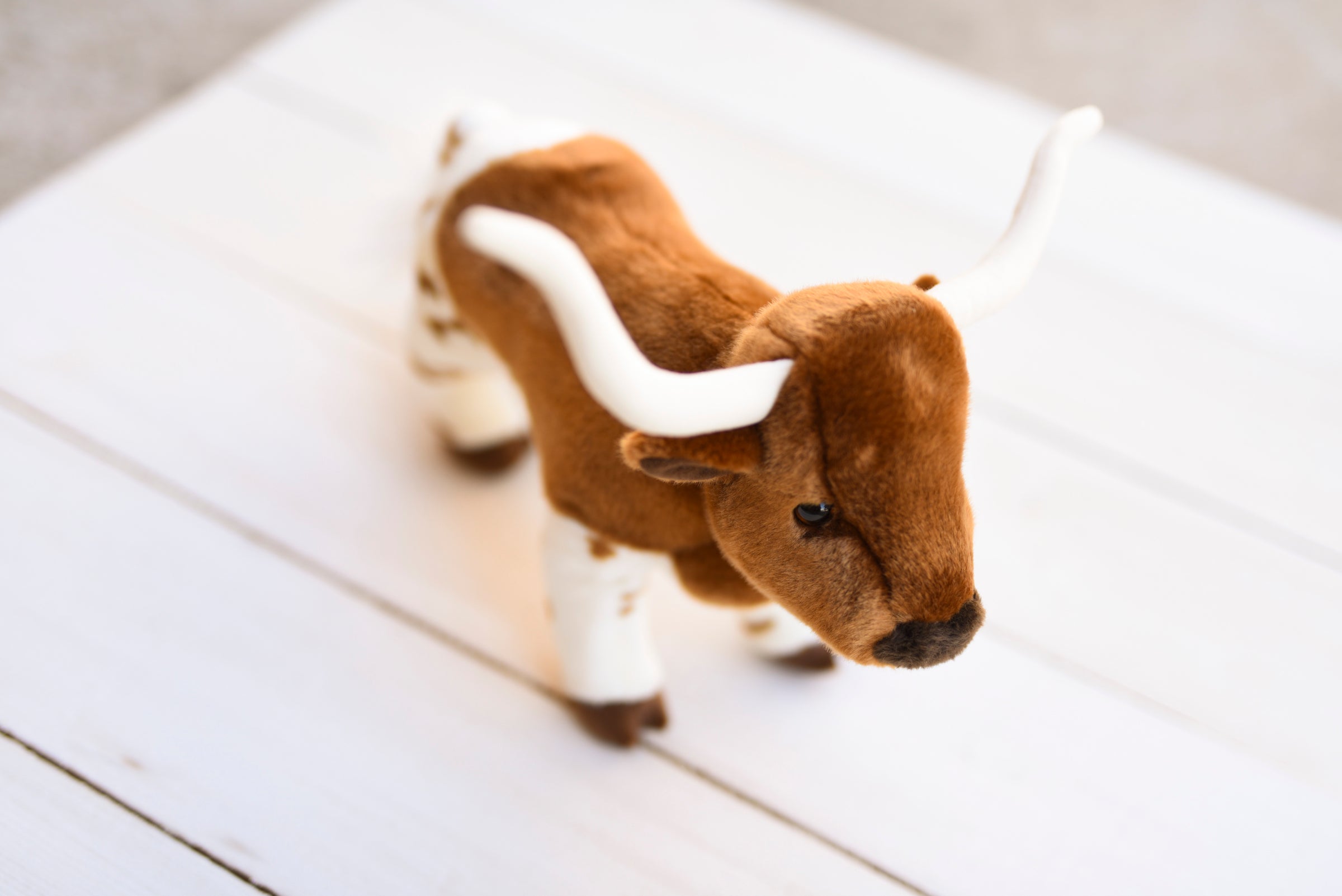 Rose the Longhorn | Farm Girl: Rural Boutique + General Store