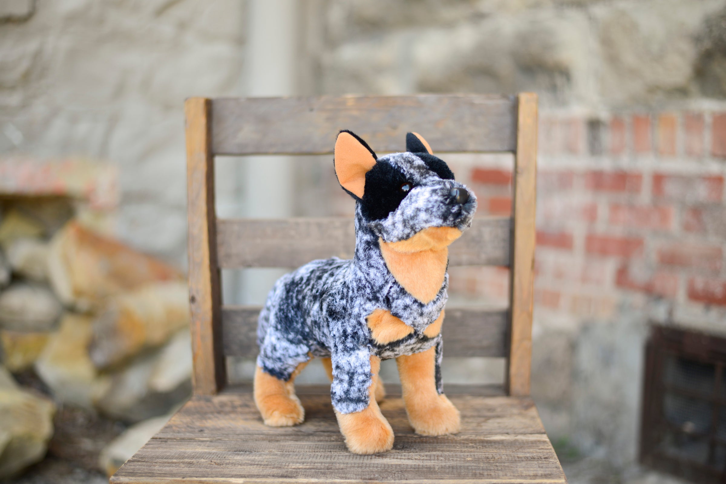 Dog Toys For Blue Heelers