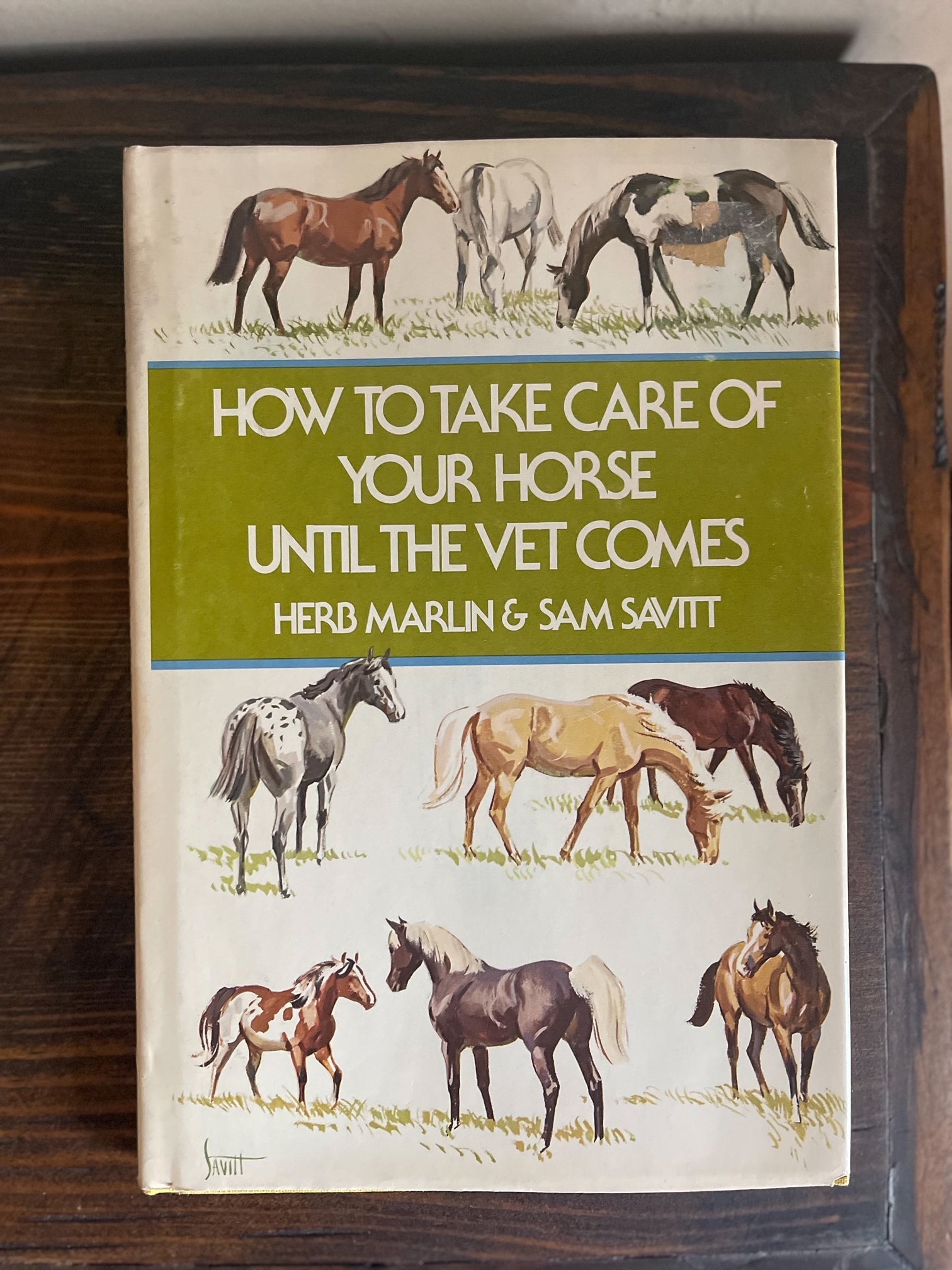 How to Take Care of Horse Book Farm Girl Rural Boutique + General Store